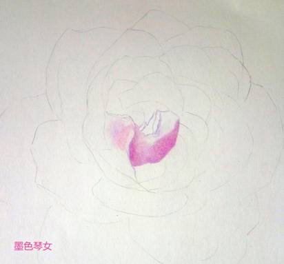 超美粉红玫瑰手绘彩铅画