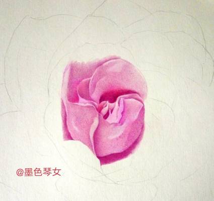 超美粉红玫瑰手绘彩铅画