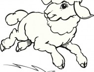 素描入门教程之羊