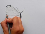 简单的蝴蝶手绘彩铅画教学