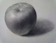素描水果篇之苹果的画法