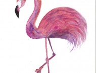 教你用水彩画一个很具装饰色彩的火烈鸟!