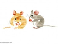 可爱老鼠水彩画教程