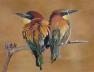 油画动物教程-小鸟的画法