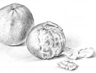 素描画水果教程之橘子的画法