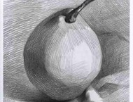 素描单个静物水果-梨的画法