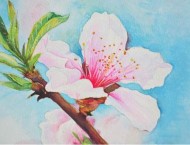 用水彩教你画一枝粉透的桃花