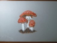 彩铅画可爱的小蘑菇
