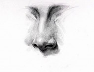 素描画手绘鼻子
