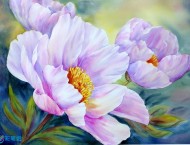 英格兰水彩画家的水彩花卉作品