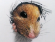彩铅手绘立体小老鼠