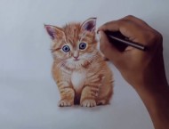 试试用彩铅画小猫咪